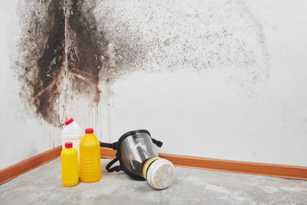 Water Damage Restoration in Jonesville, VA