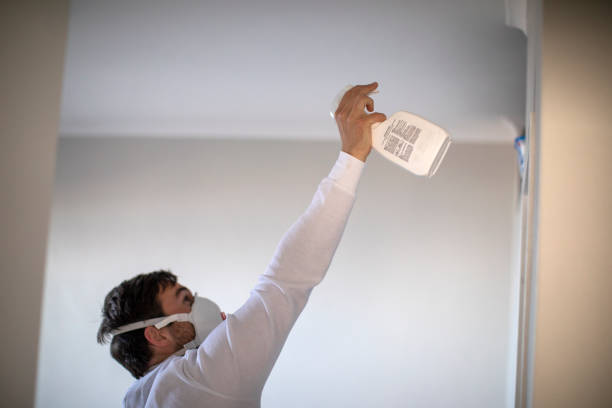 Best Attic Mold Removal  in Jonesville, VA