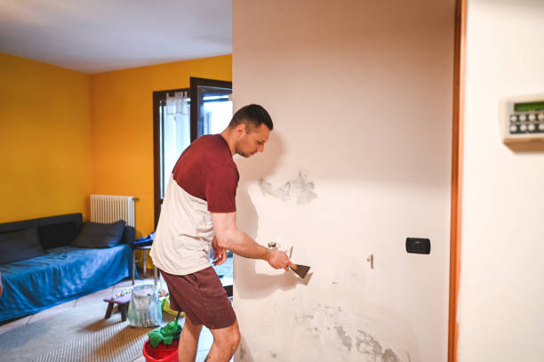 Best Mold Removal Near Me  in Jonesville, VA