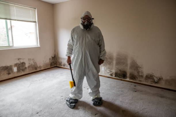Jonesville, VA Mold Removal Company